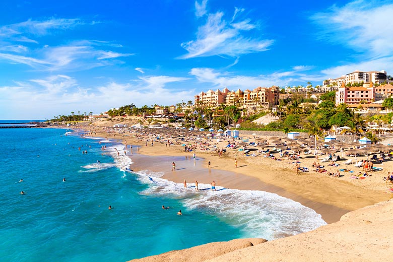 Which of the Canary Islands is best?