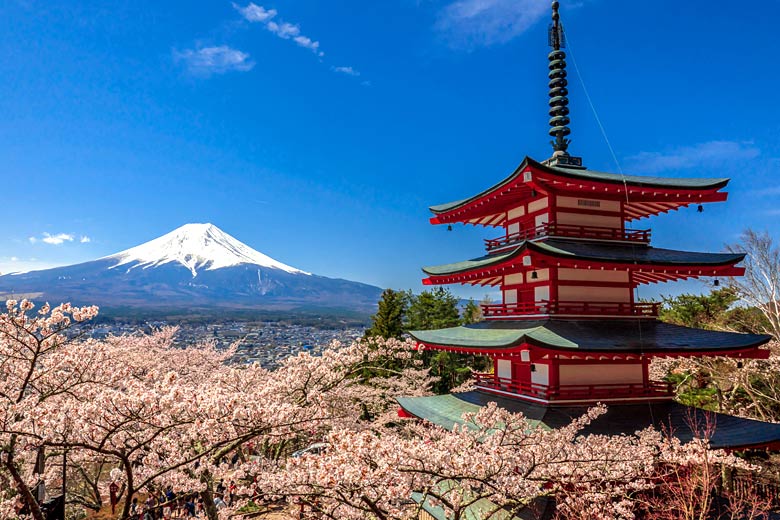 Spring blossom at the Chureito Pagoda, Fujiyoshida